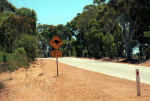 kangaroo-sign.jpg (147041 Byte) Australia road, near Perth