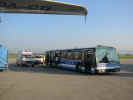 aviation-bus-airfield.jpg (76363 Byte) bus airfield