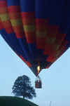 hot_air_balloon-2.jpg (77988 Byte) hot air baloon free pic