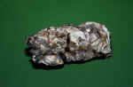 16-stone.jpg (149795 Byte) geology stones minerals