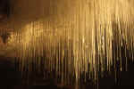 cave-vu5.jpg (165779 Byte) spaghetti stalaktites