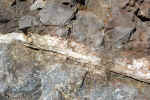 geology-3ykq.jpg (217891 Byte) stone picture