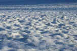 snow-winter-gras.jpg (141016 Byte) winter
