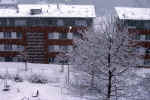 winter-bt2k.jpg (174014 Byte) snow houses