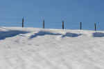winter-fence-t4q.JPG (94124 Byte)