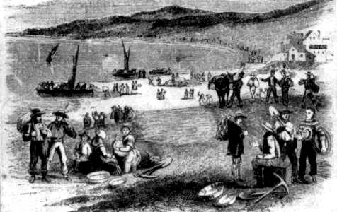 SCENE DURING THE RUSH TO THE GOLD MINES FROM SAN FRANCISCO. IN 1848