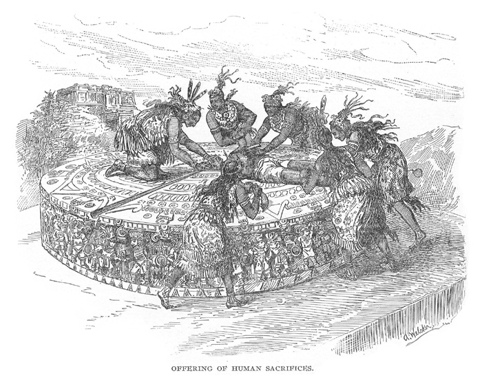 c16_sm_fig03.jpg - 232395 Bytes