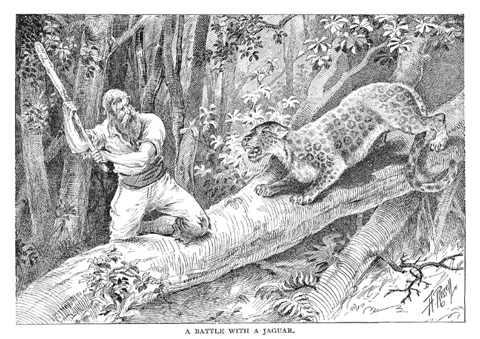 c25_sm_fig03.jpg - 182895 Bytes