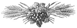 c30_sm_fig03.jpg - 11747 Bytes