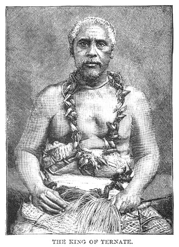 c34_sm_fig04.jpg - 77185 Bytes