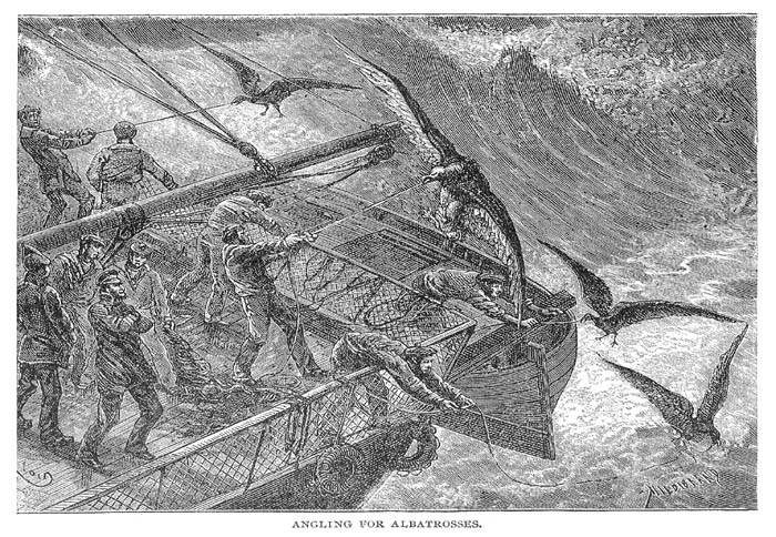 c43_sm_fig02.jpg - 155078 Bytes