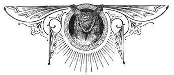 c45_sm_fig04.jpg - 19766 Bytes