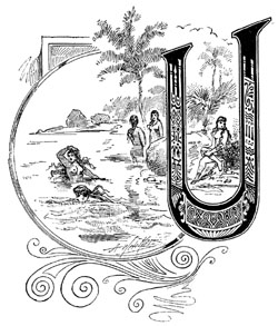 c48_sm_fig01.jpg - 33485 Bytes