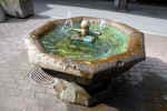 fountain-7u6v.jpg (184339 Byte) Goldau SBB