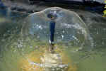 fountain-fy5c.jpg (122752 Byte) water