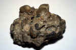 45-stone.jpg (176171 Byte) geology stones minerals