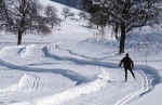 winter-8mje.jpg (212891 Byte) winter ski langlauf