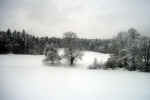 winter-trees-f6r.jpg (121368 Byte) landscape