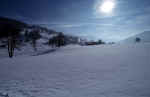 winter_snow-sun.jpg (86354 Byte) winter picture